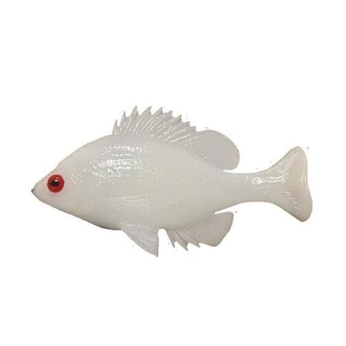http://www.hammondsfishing.com/cdn/shop/files/Huddleston-Deluxe-Bluegill-Top-Hook-Albino.jpg?v=1688723006