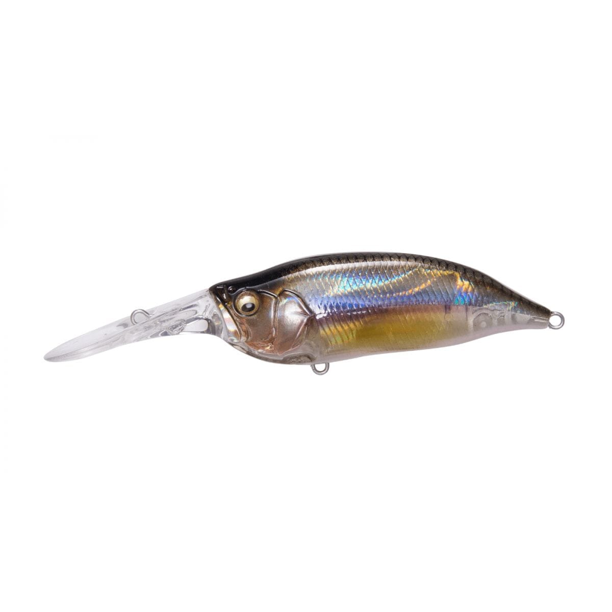 Megabass IXI Shad Type 3 Crankbaits