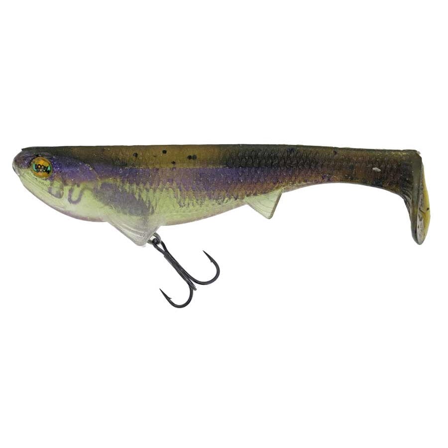 Soft Fishing Lures and Jig Heads Jackson