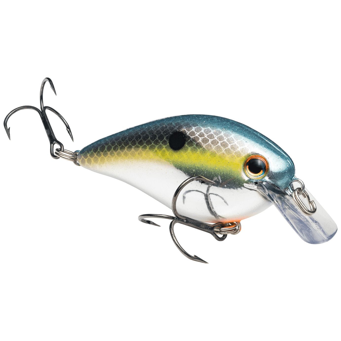 Hammond's Fishing Center - Strike King Chick Magnet in 2 colors showed up.  Sexy Shad and Blue Rock Craw.
