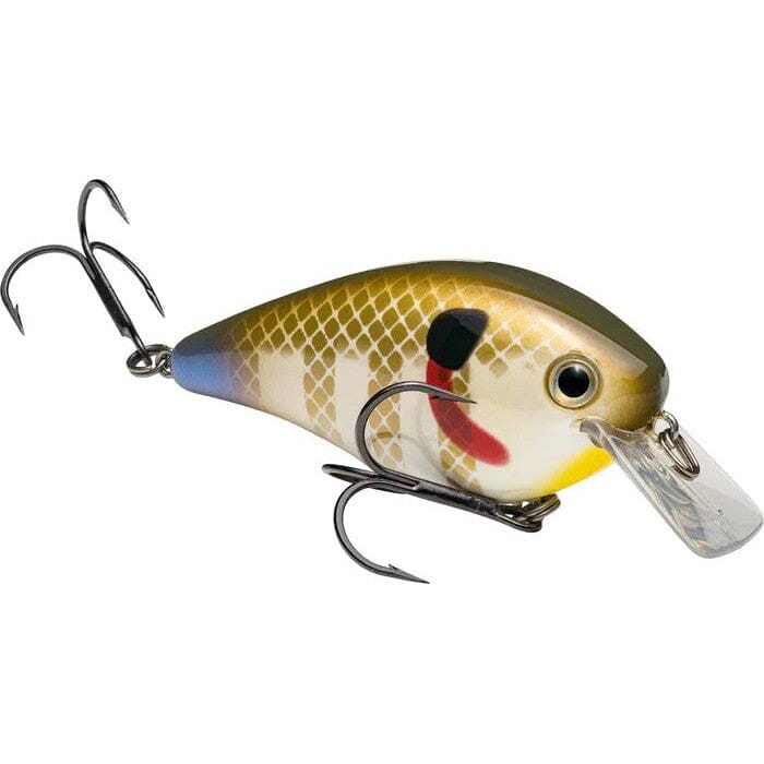 Strike King Kvd Square 2.5 Sexy Sunfish – Hammonds Fishing