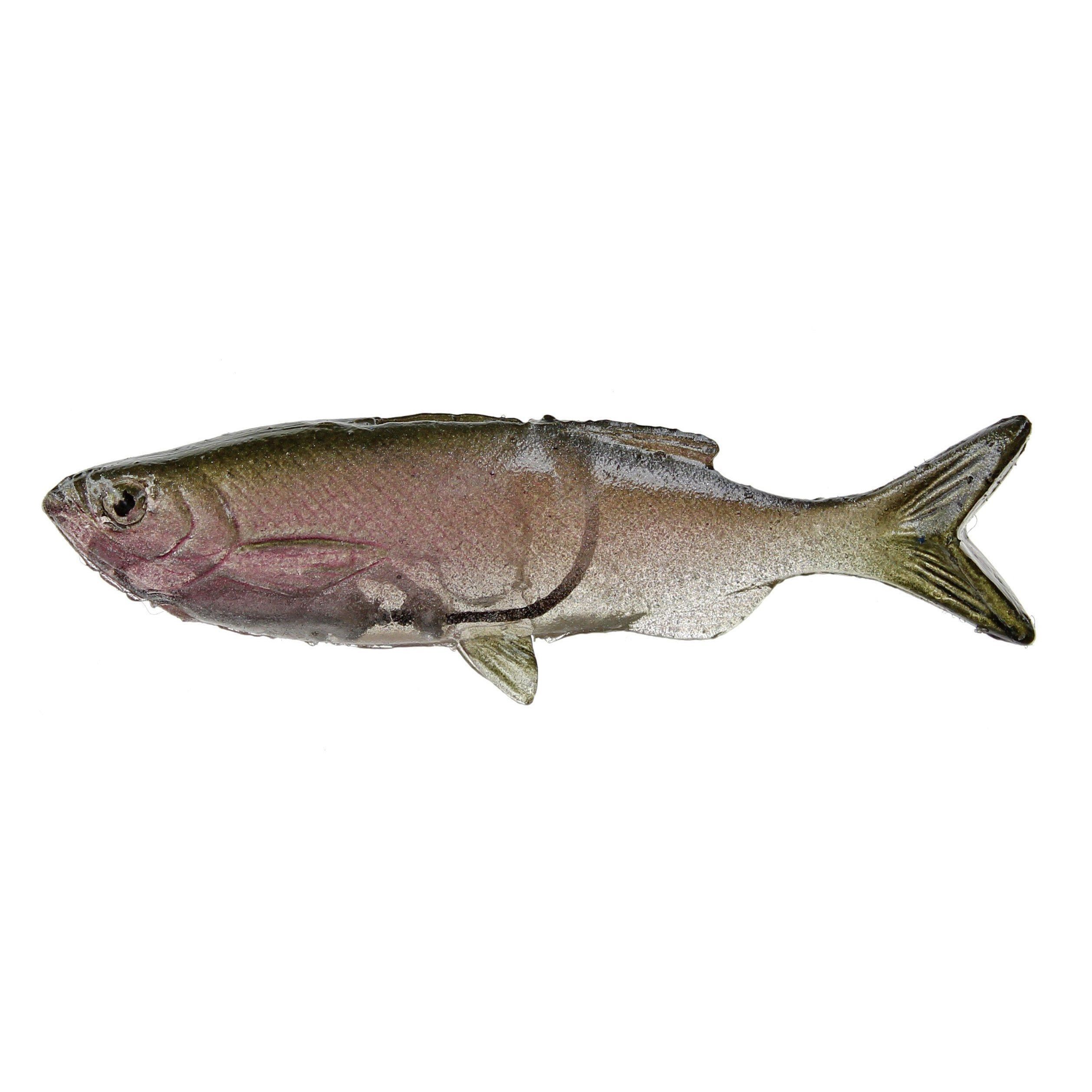 http://www.hammondsfishing.com/cdn/shop/products/Huddleston-Weedless-Grass-Minnow-Trout-Minnow_53dc77ff-72b2-4b0c-8b40-f2eccc37e158.jpg?v=1640153344