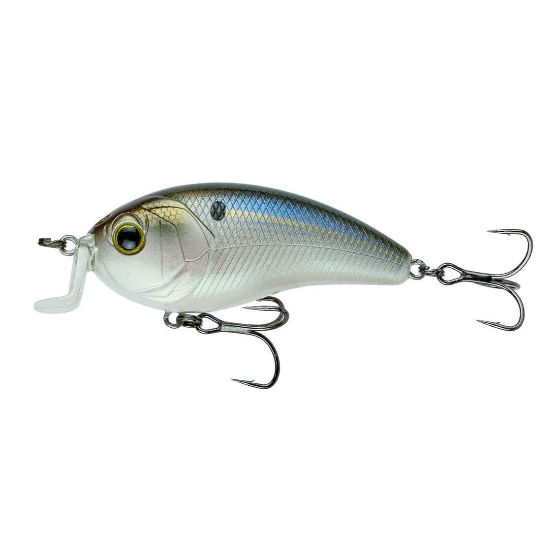 6th Sense Swank 77 - Threadfin Shad