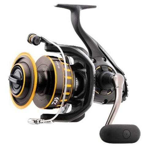 Spinning Reels