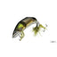 Duo Realis Dead Drift 100 AoriAyu