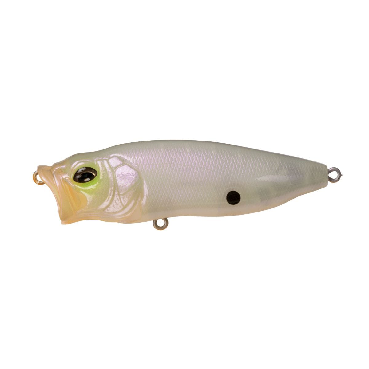 Megabass Popmax Bahama Milk Pearl-MegaBass Popmax-Hammonds Fishing