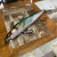 Megabass Vision 110 Gg Hasu-Megabass Vision 110-Hammonds Fishing