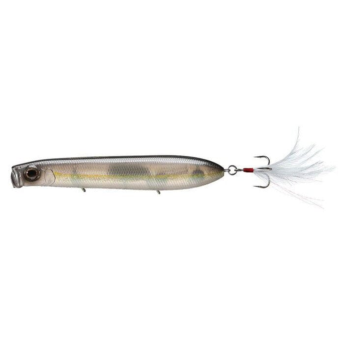 Evergreen Sb Shower Blows American Shad