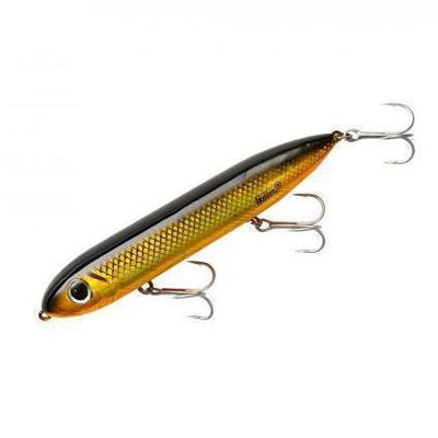 Heddon Super Spook Golden Shiner-Heddon Super Spook-Hammonds Fishing