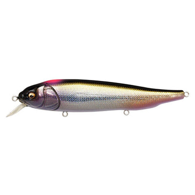 Megabass LATES Feeding Woofer DD Indicator Shiner-Megabass LATES Feeding Woofer-Hammonds Fishing