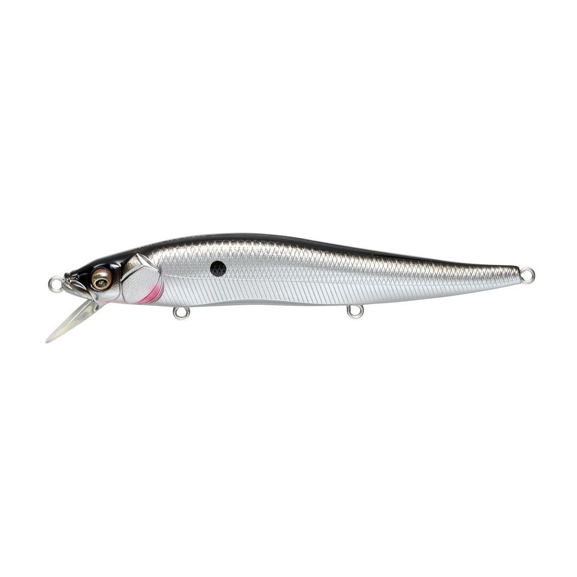 Megabass Vision 110 Ozark Shad-Megabass Vision 110-Hammonds Fishing