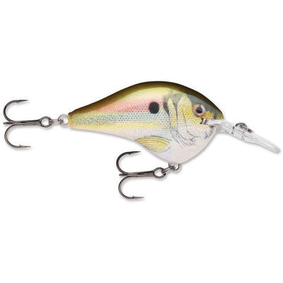 Rapala Dt 06 Live River Shad-RAPALA DT 06-Hammonds Fishing