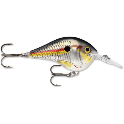 Rapala Dt 06 Shad-RAPALA DT 06-Hammonds Fishing