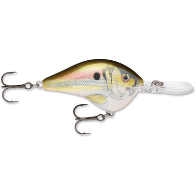 Rapala Dt 10 Live River Shad-RAPALA DT 10-Hammonds Fishing