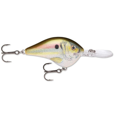 Rapala Dt 14 Live River Shad-RAPALA DT 14-Hammonds Fishing