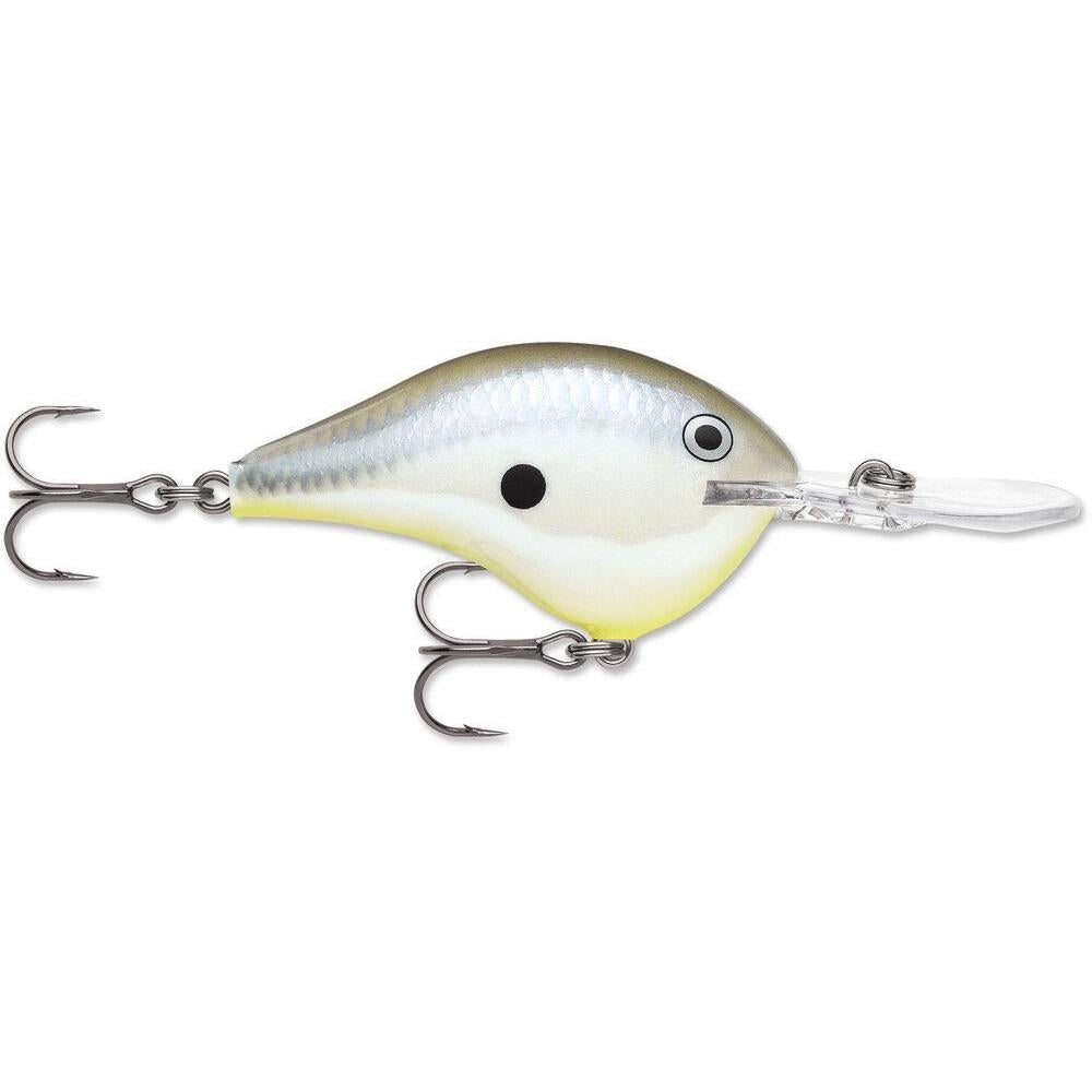 Rapala Dt 08 Citrus Shad – Hammonds Fishing